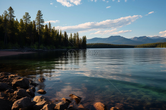 野外的湖水清澈透明图片