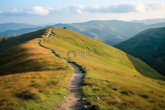 郁郁葱葱的山顶图片