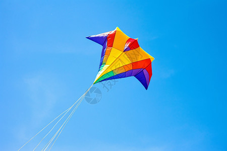 翱翔在空中的风筝图片