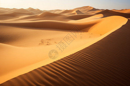 户外的大沙漠图片