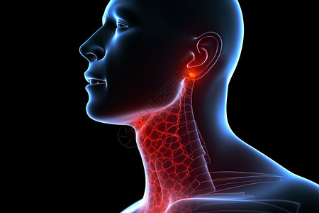 人体颈部生物学喉咙痛抽象概念图设计图片