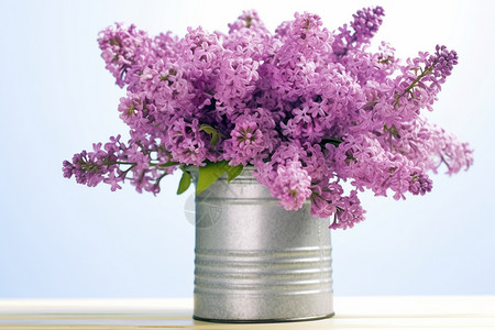 紫色的花束图片