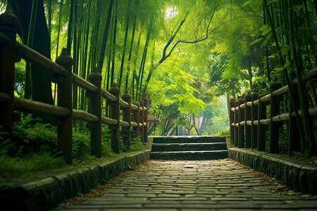 一条竹林图片