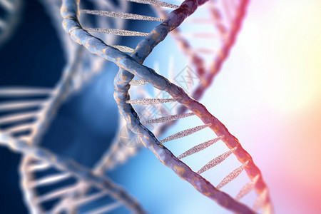 基因遗传学科学技术工程高清图片