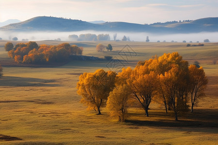 秋天的坝上草原背景图片