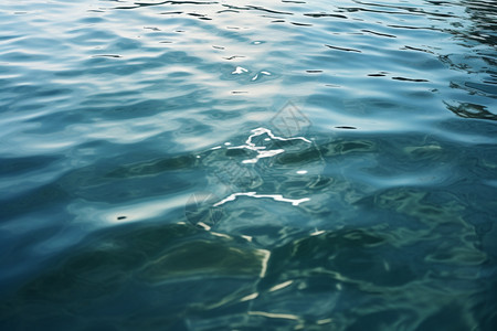 清澈碧绿的海水背景图片