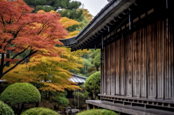 庭院里的小屋图片