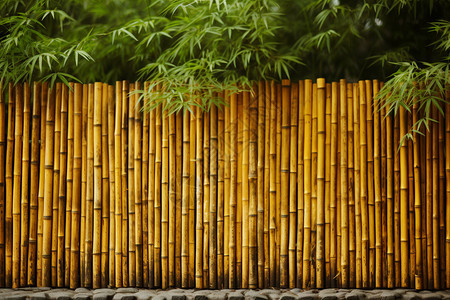 传统竹林栅栏图片