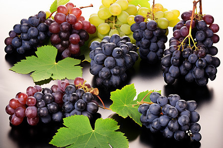 制作葡萄酒的葡萄果实图片