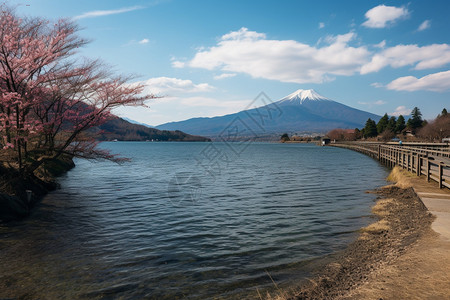 富士山下的美丽海岸线图片