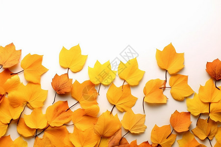 黄色树叶背景背景图片