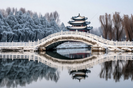 雪景下的公园小桥图片