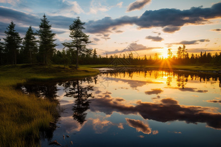 日落时的湖泊和树木图片