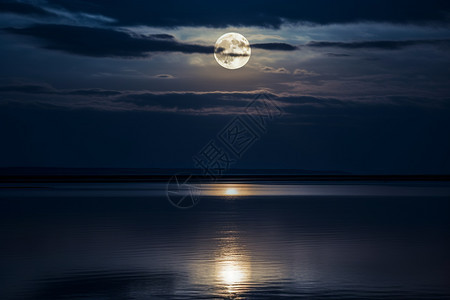 夜晚月亮升起图片