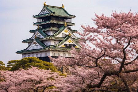 历史名古屋建筑图片