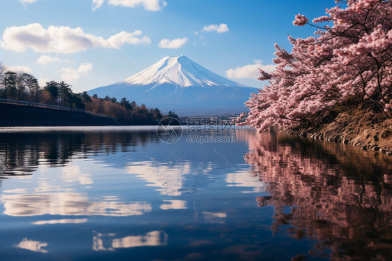 富士山景观图片