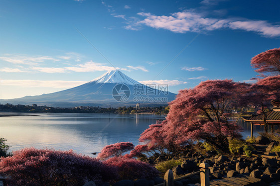 富士火山景观图片