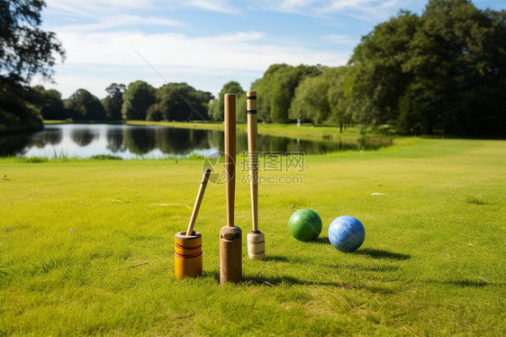公园草地上的木槌球图片