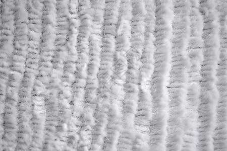 棉毛植物纤维图片
