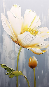 艺术美感的郁金香花朵图片