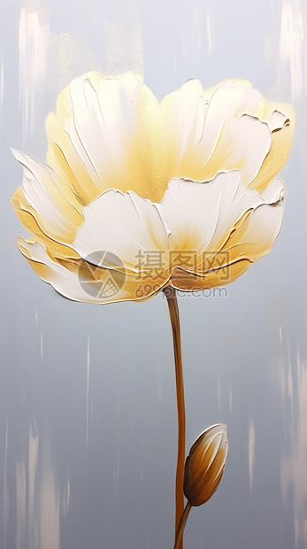 抽象艺术的郁金香花朵图片