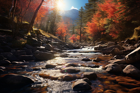 阳光下的山溪美景图片