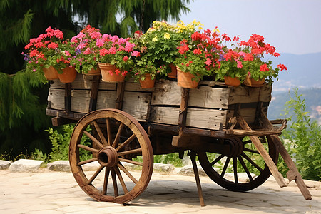 种植花朵盆栽的木车背景图片