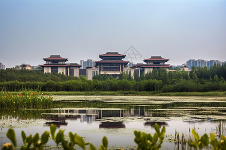 河面上的浮游生物图片