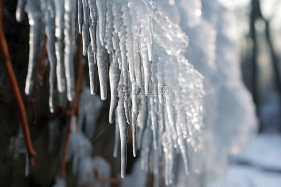 冬季户外的冰柱图片