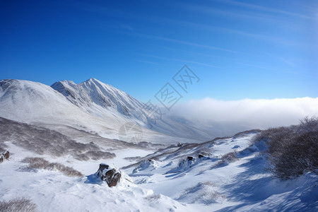 冬天美丽的雪景图片