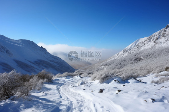 户外美丽的雪景图片