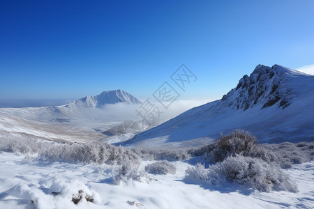 冬季美丽的雪景图片