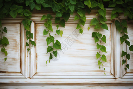 篱笆上的绿植背景图片