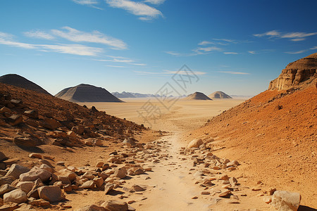 喀拉哈里沙漠的景观图片