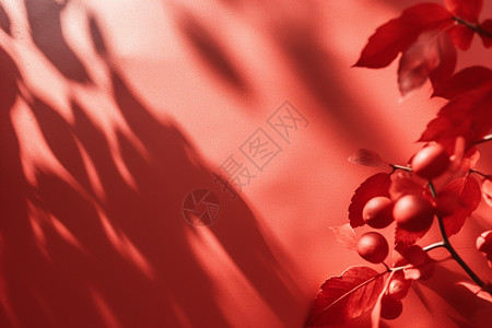 长树上的红叶和红果子图片