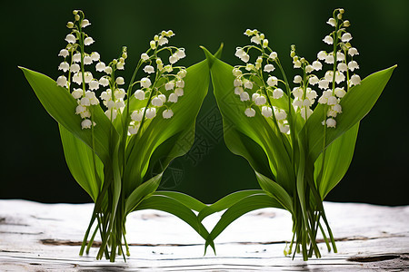 铃兰花的花束图片