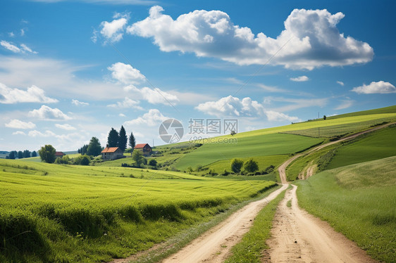 欧洲夏季的户外自然图片