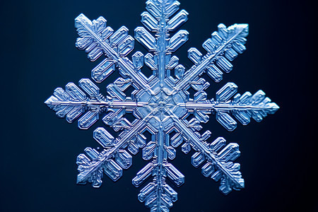 雪花的独特的美丽背景图片