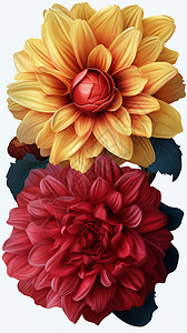 五颜六色的花朵喷墨高清图片