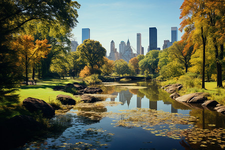美丽风景的中央公园图片