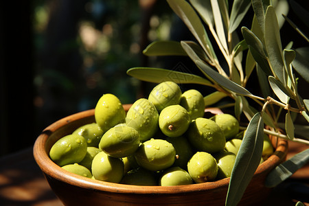 绿色天然的橄榄果图片