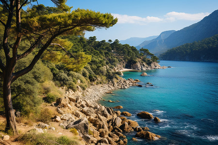 度假夏天海湾风光图片