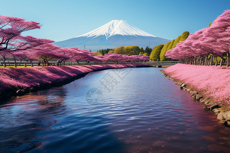 东京天空树河口湖富士山背景
