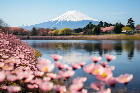 远眺富士山图片