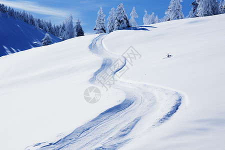 雪地上的环形路痕背景图片