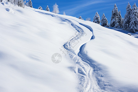 冬天的雪地环形路痕背景图片