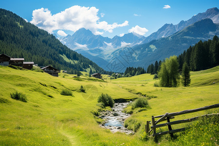 夏天山间森林草原的景观背景