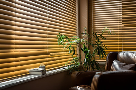 客厅的棕色百叶窗背景图片
