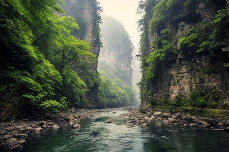 夏季山间峡谷中的溪流图片
