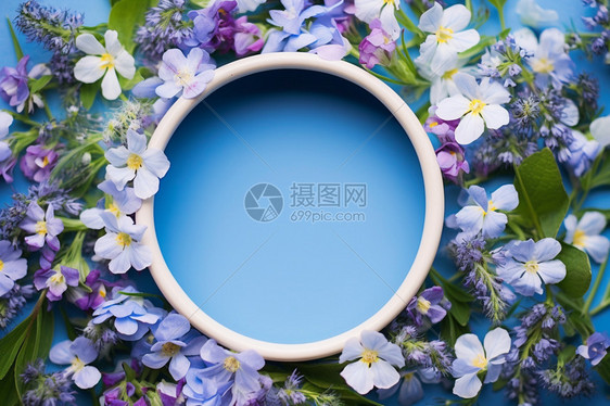 蓝色背景下的花朵图片